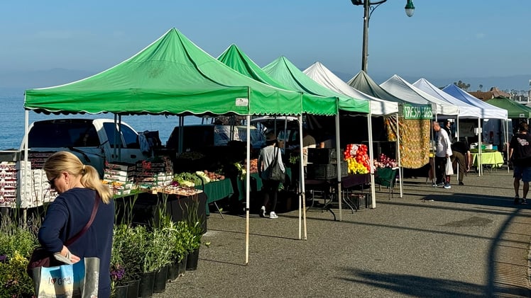 Green tents at a farmers market along the water